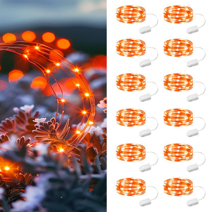 Orange - 12 Pack