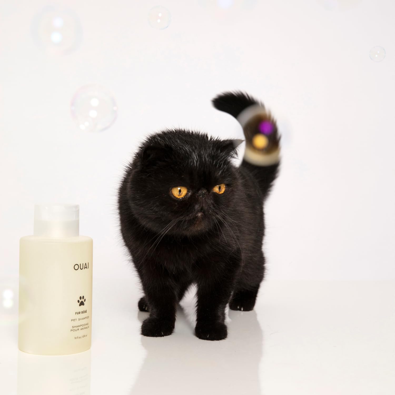 OUAI Fur Bébé Pet Shampoo - Worry-Free Family Bathroom Pet Wash for Cats and Dogs, Cruelty-Free and Gluten-Free (16 Fl oz)
