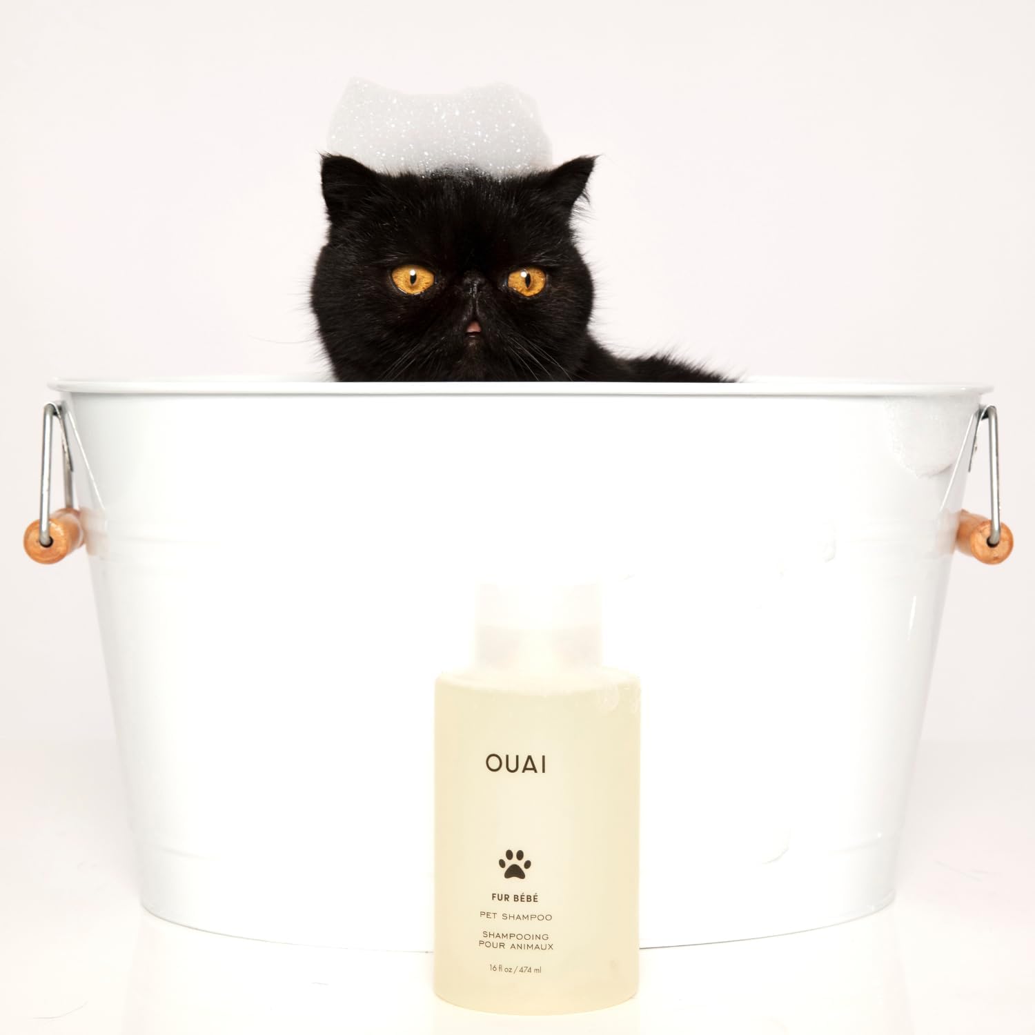 OUAI Fur Bébé Pet Shampoo - Worry-Free Family Bathroom Pet Wash for Cats and Dogs, Cruelty-Free and Gluten-Free (16 Fl oz)