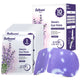 Lavender Scent