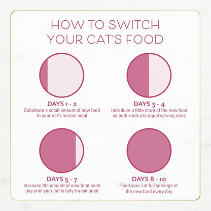 Fancy Feast Purina Gourmet Cat Food as a Special-occasion Gift for Cat Owners