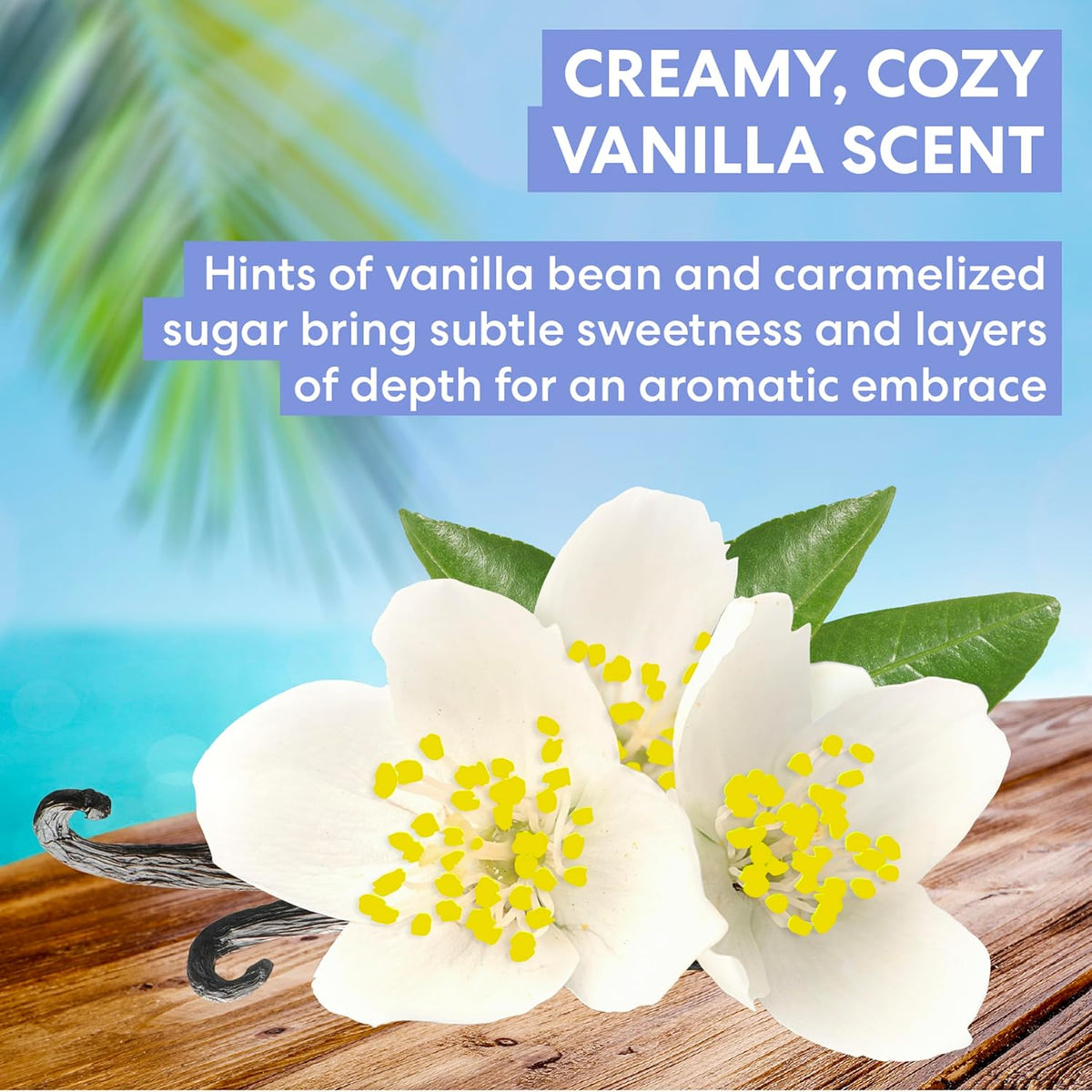 Palmer's Cocoa Butter Formula Body Cream – Thoughtful Birthday Gift for Her with Warm Vanilla Indulgence