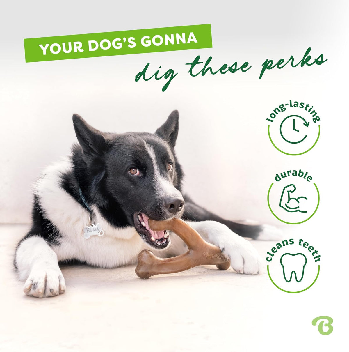 patented curved wishbone shape for paw-friendly gripping
