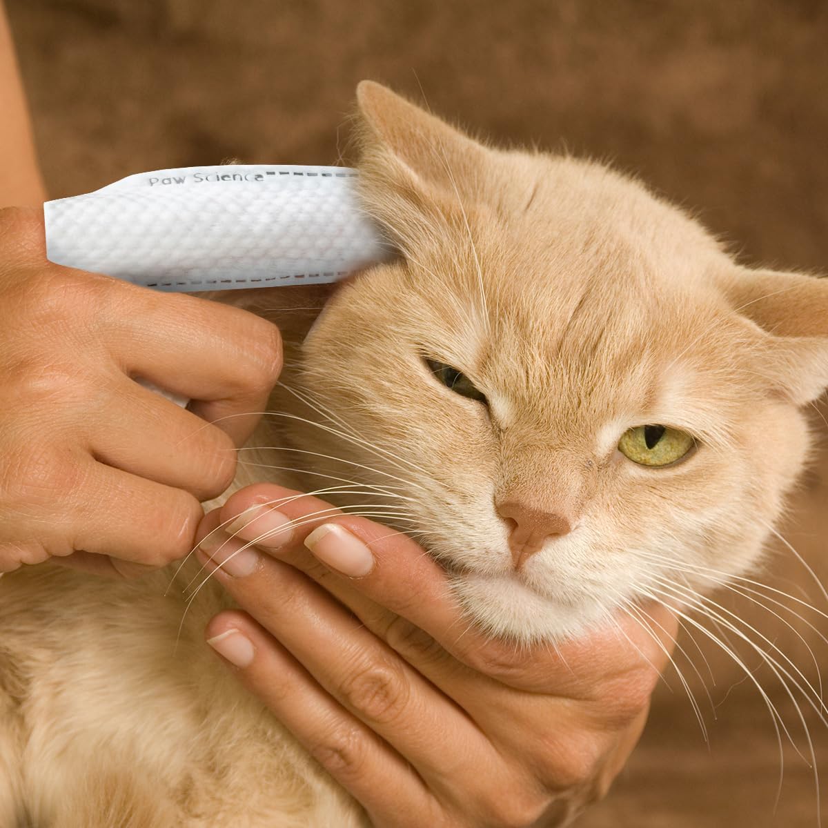 Paw Science Dog Ear Cleaner Wipes – Single Canister Solution for Effortless Dog & Cat Grooming