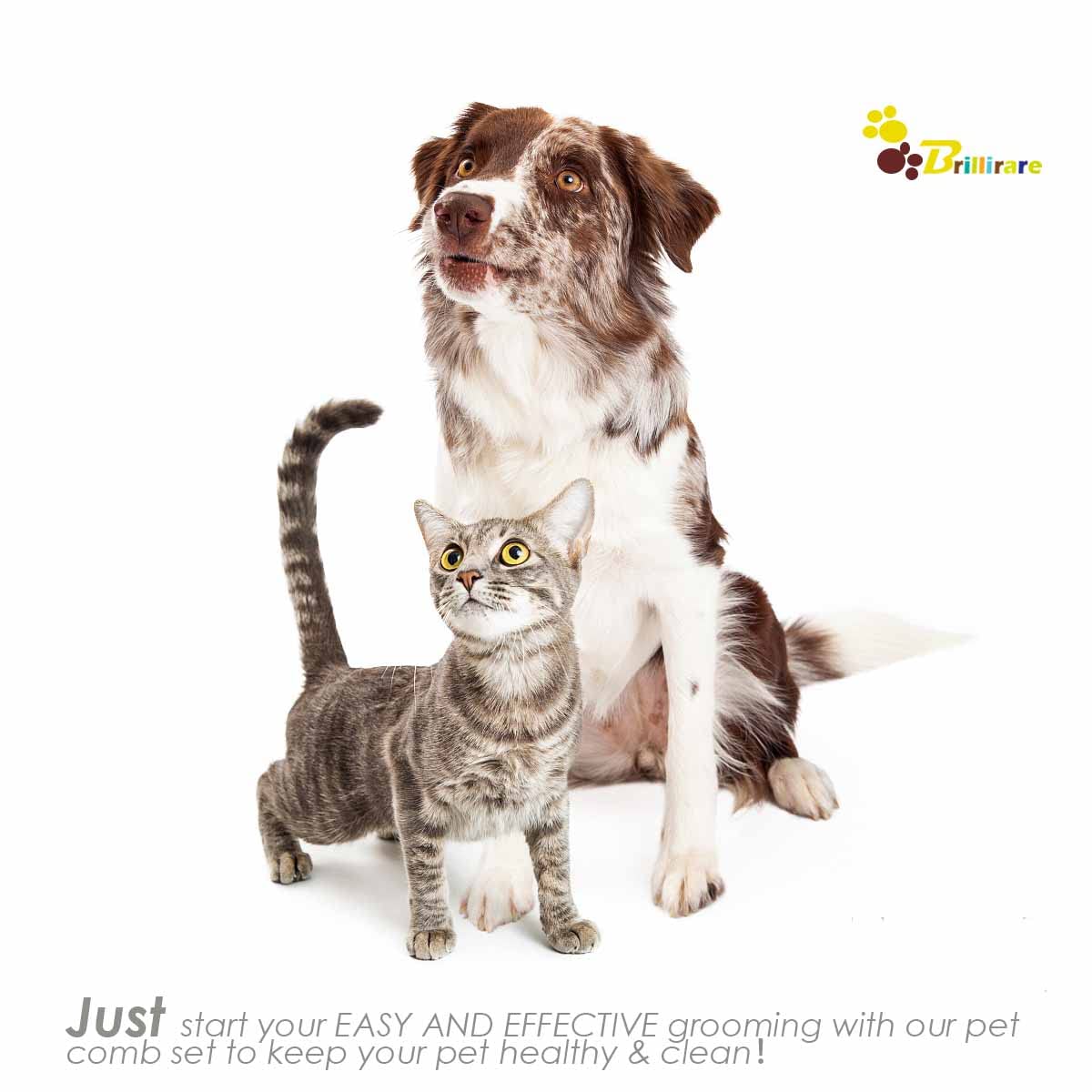 PawCare Rust-Free Silicone Pet Brush – Hygienic, Easy-Rinse Grooming for Allergy-Conscious Families