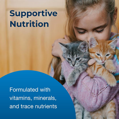 PetAg KMR Healthy Development – Gentle Digestive Wellness Supplement for Kittens Transitioning to Solid Food