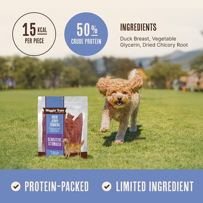 prebiotic fiber from chicory root for digestive support