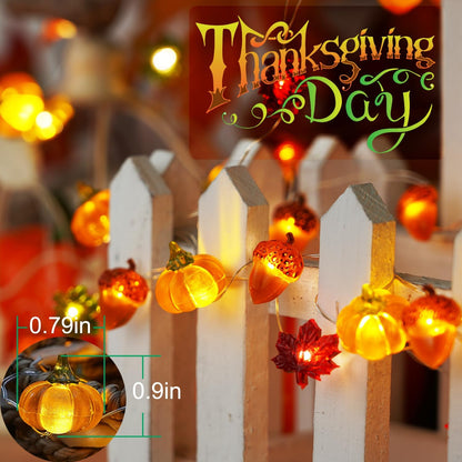 programmable timer: 2 hours on or 6 hours on per day, automatic cycling