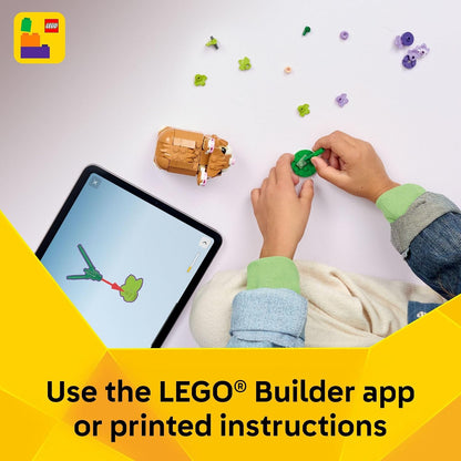 promotes concentration as stated educational objective