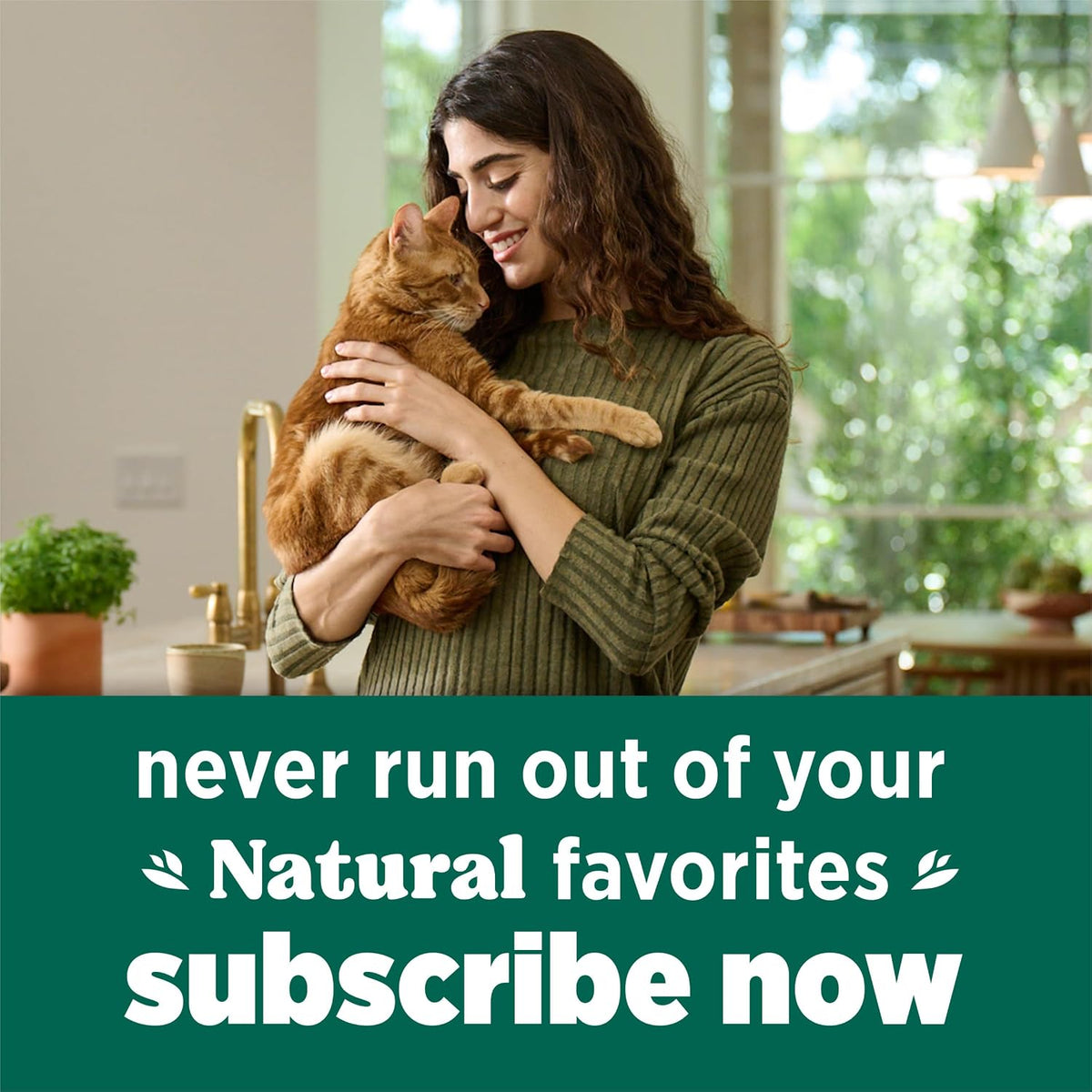 Purina Cat Chow Naturals Indoor Cat Food – No Artificial Additives for Homes with Kids and Cats
