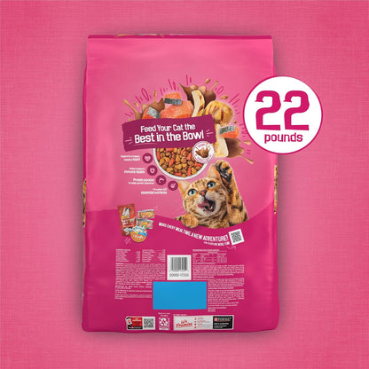 Purina Friskies Gravy Swirlers Dry Cat Food, Chicken & Salmon, 22 lb – Long-Term Health Support for All Life Stages