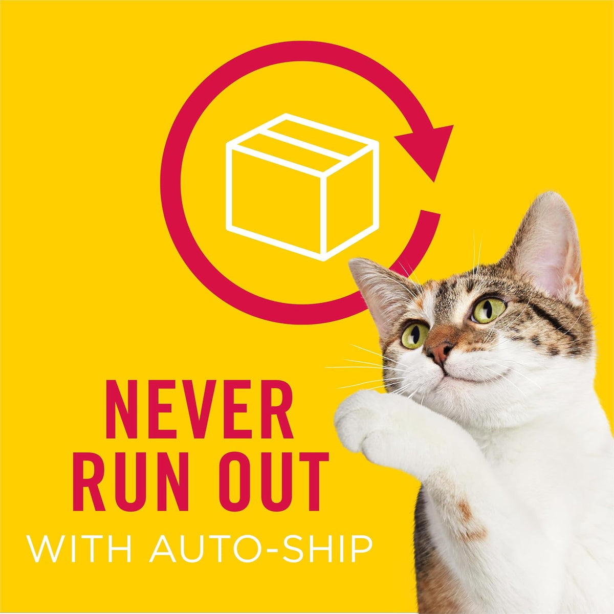 Purina Friskies Wet Cat Food Variety Pack – Holiday Stocking Stuffer for Multi-Cat Households, 40 Pack 5.5 oz