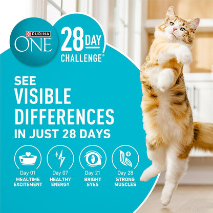 Purina ONE Tender Selects Cat Food – Birthday Surprise for the Cat Parent Who Has Everything, 7 lb