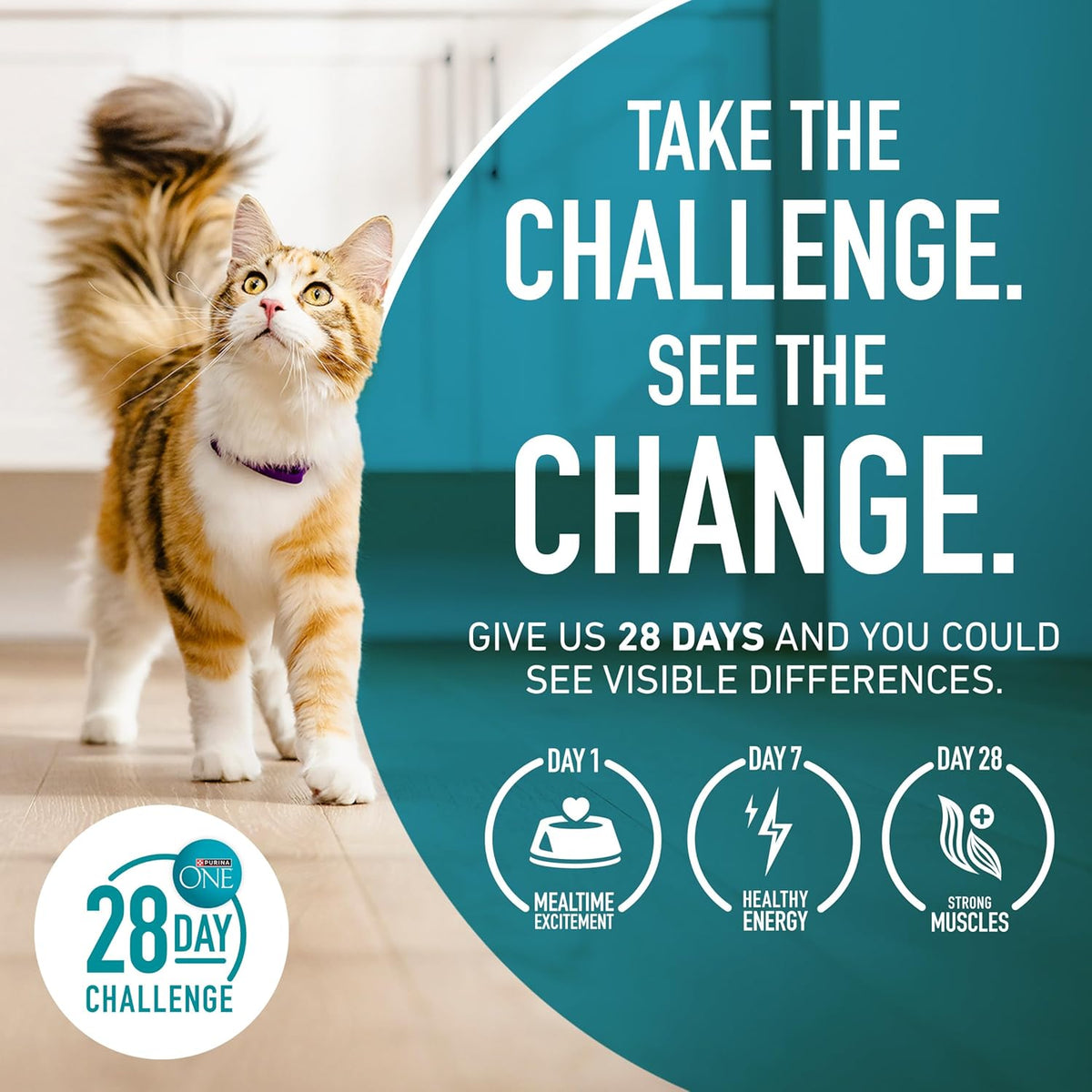Purina ONE Tender Selects Cat Food – Birthday Surprise for the Cat Parent Who Has Everything, 7 lb
