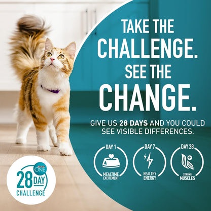 Purina ONE Tender Selects Cat Food – Birthday Surprise for the Cat Parent Who Has Everything, 7 lb
