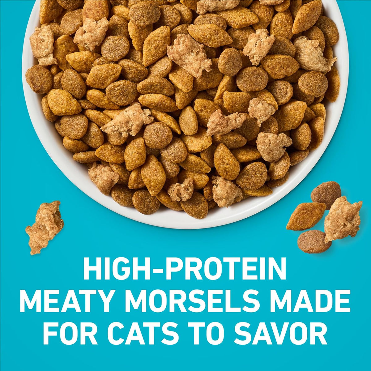 Purina ONE Tender Selects Cat Food – Birthday Surprise for the Cat Parent Who Has Everything, 7 lb