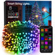 RGB - Green Wire - WIFI - 300 LED