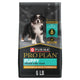 Chicken & Rice - 6 Pound (Pack of 1)
