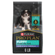 Lamb & Rice - 6 Pound (Pack of 1)