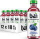 Brasilia Blueberry - 12 Pack