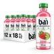 Kupang Strawberry Kiwi - 12 Pack