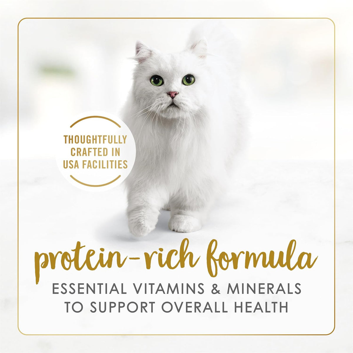 real poultry or beef listed as the number one ingredient