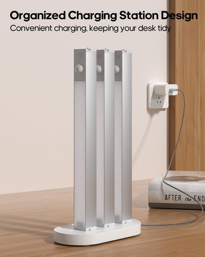 rechargeable battery compatible with both usb cable and a 3-port charging station