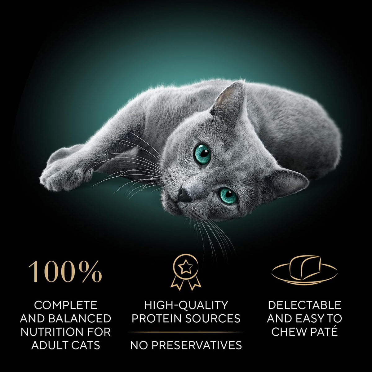 recipes are grain-free, contain no fillers or artificial flavors, and are listed as free from corn, gluten, soy, and wheat, although trace manufacturing cross-contact may occur