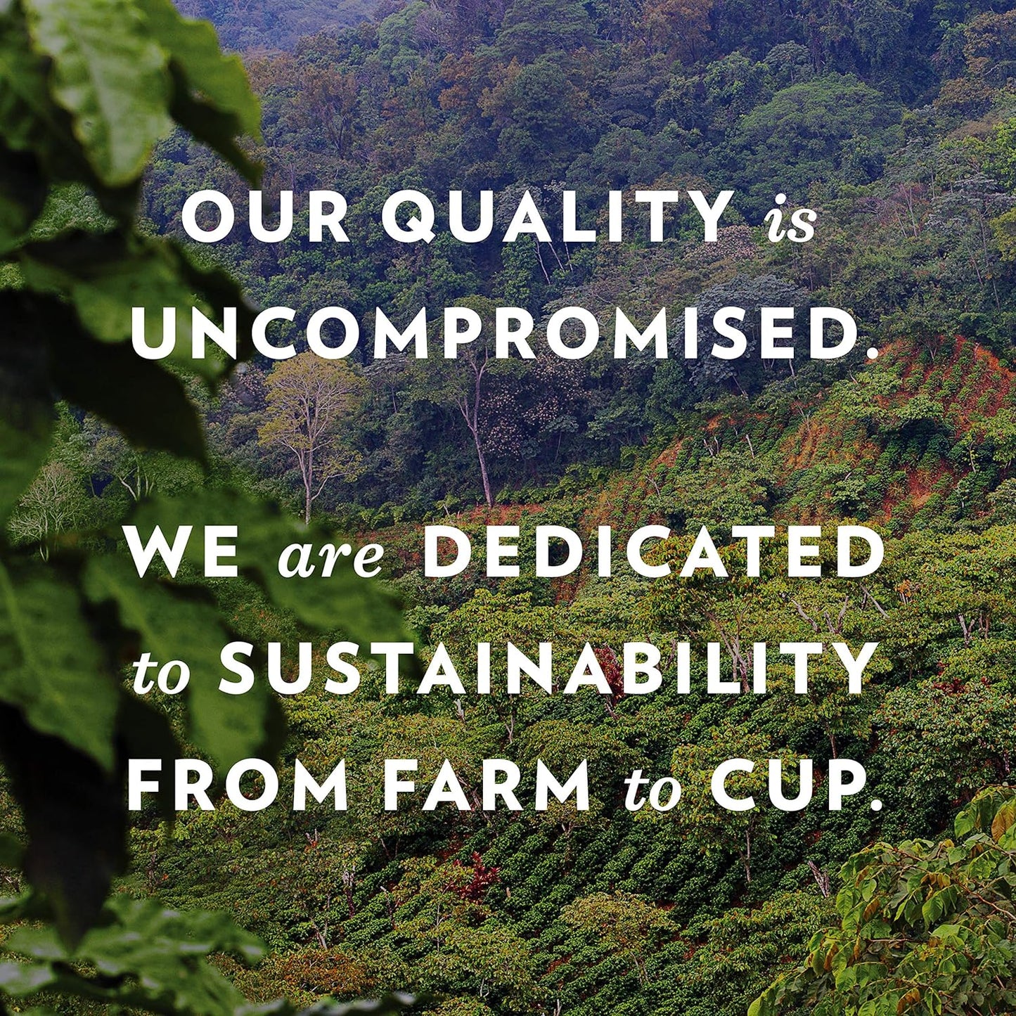responsibly sourced beans with programs supporting military members and local schools