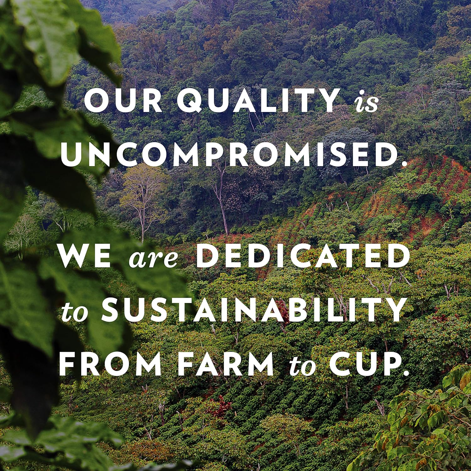 responsibly sourced beans with programs supporting military members and local schools