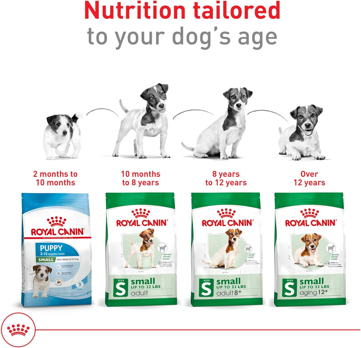 Royal Canin Size Health Nutrition Small Breed Dog Food – Streamlined Feeding Routine for Busy Urban Owners, 14 lb Bag