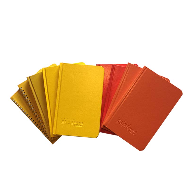 ruled pages designed for columnar survey data entry