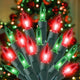 Red and Green - 33 ft