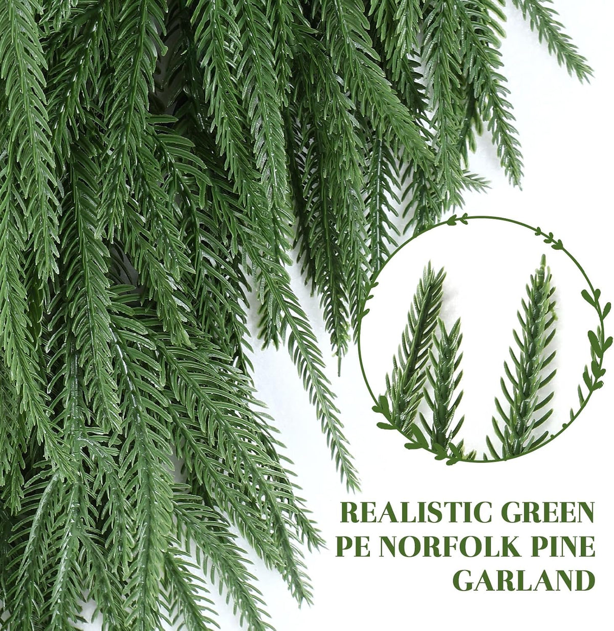 sharp-edge-free foliage with no harsh pine odor.