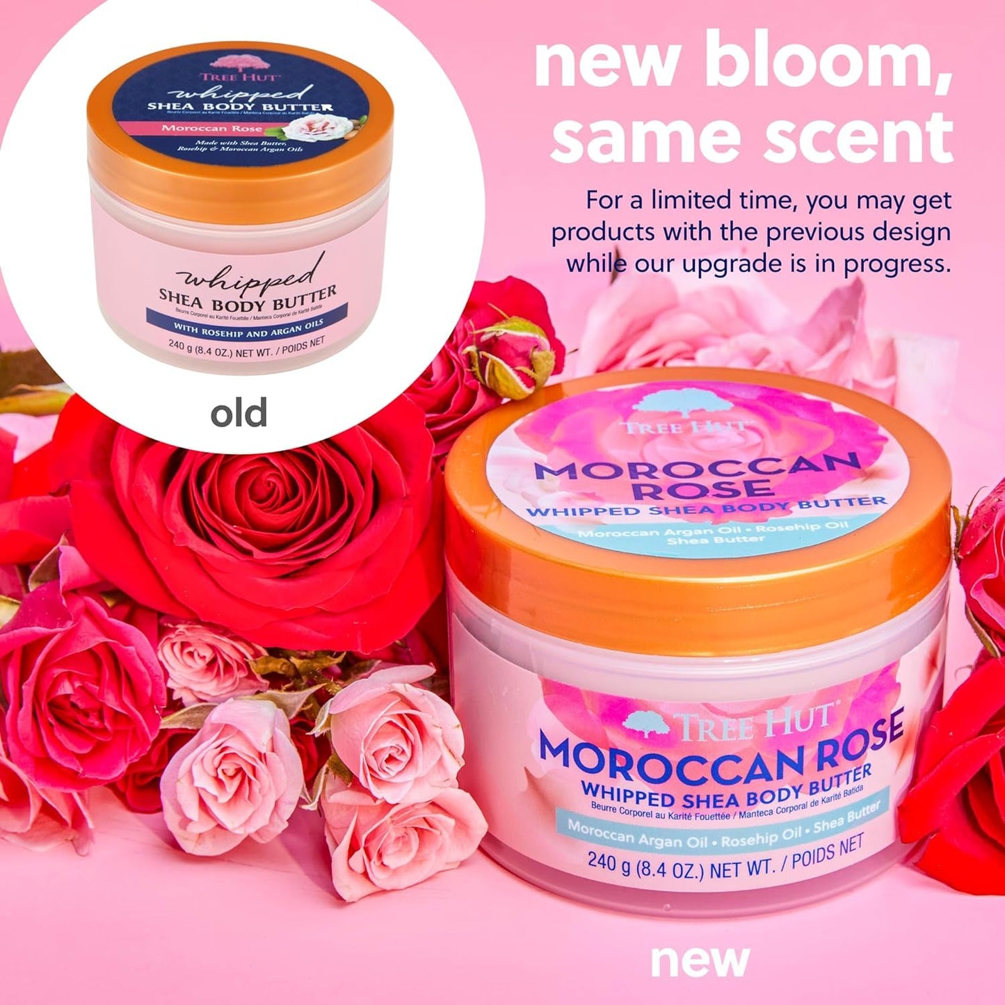 signature moroccan rose fragrance with bergamot, tea rose, and amber notes