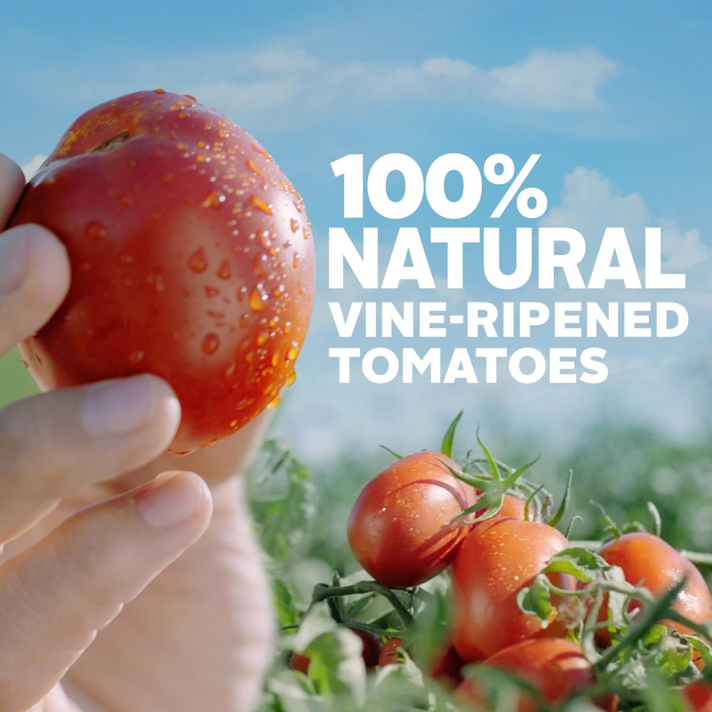 simmered with salt, spices, and natural seasonings for rich, smooth texture
