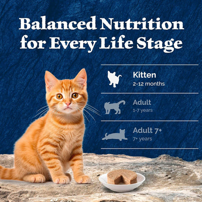 Blue Buffalo Wilderness Kitten Wet Cat Food, 3 oz Single-Serving Cans for Mindful Feeding Rituals