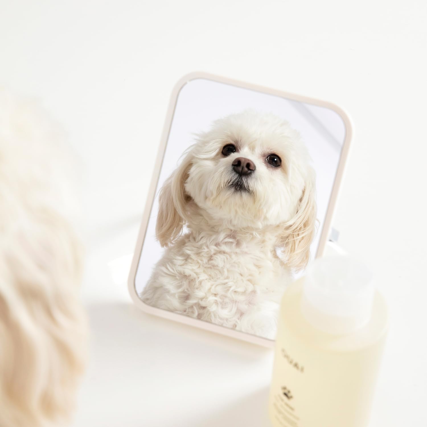 single sku brand extension of ouai's prestige human haircare line into pet care