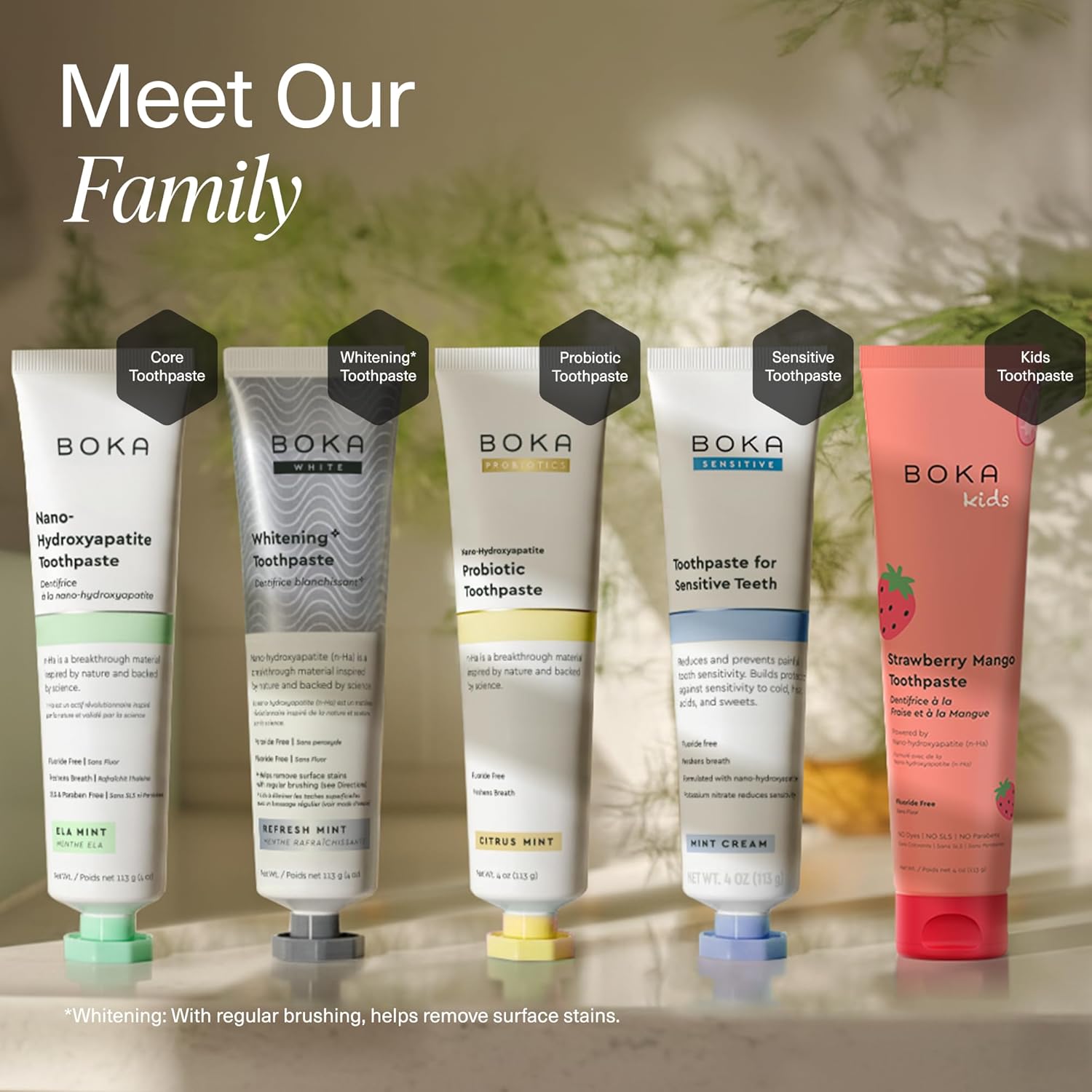 six distinct flavor profiles including unique options like coco ginger, charcoal yuzu mint, and orange cream