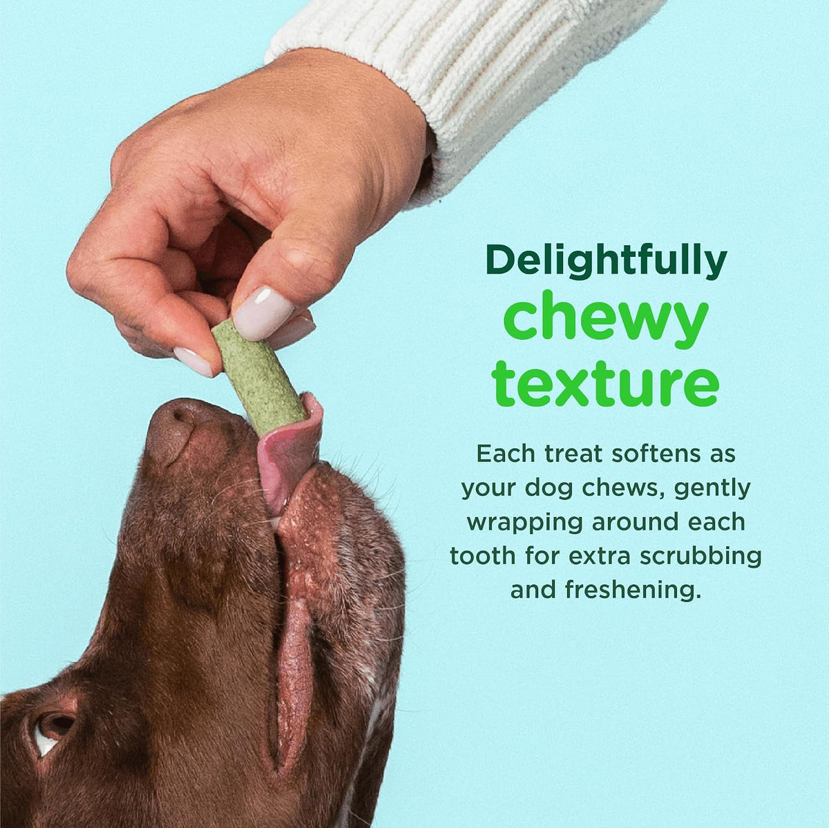 soft, chewy texture that softens with chewing action