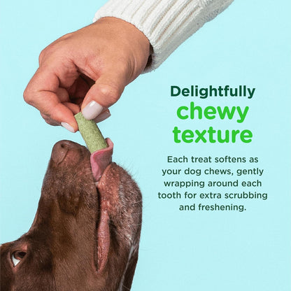 soft, chewy texture that softens with chewing action