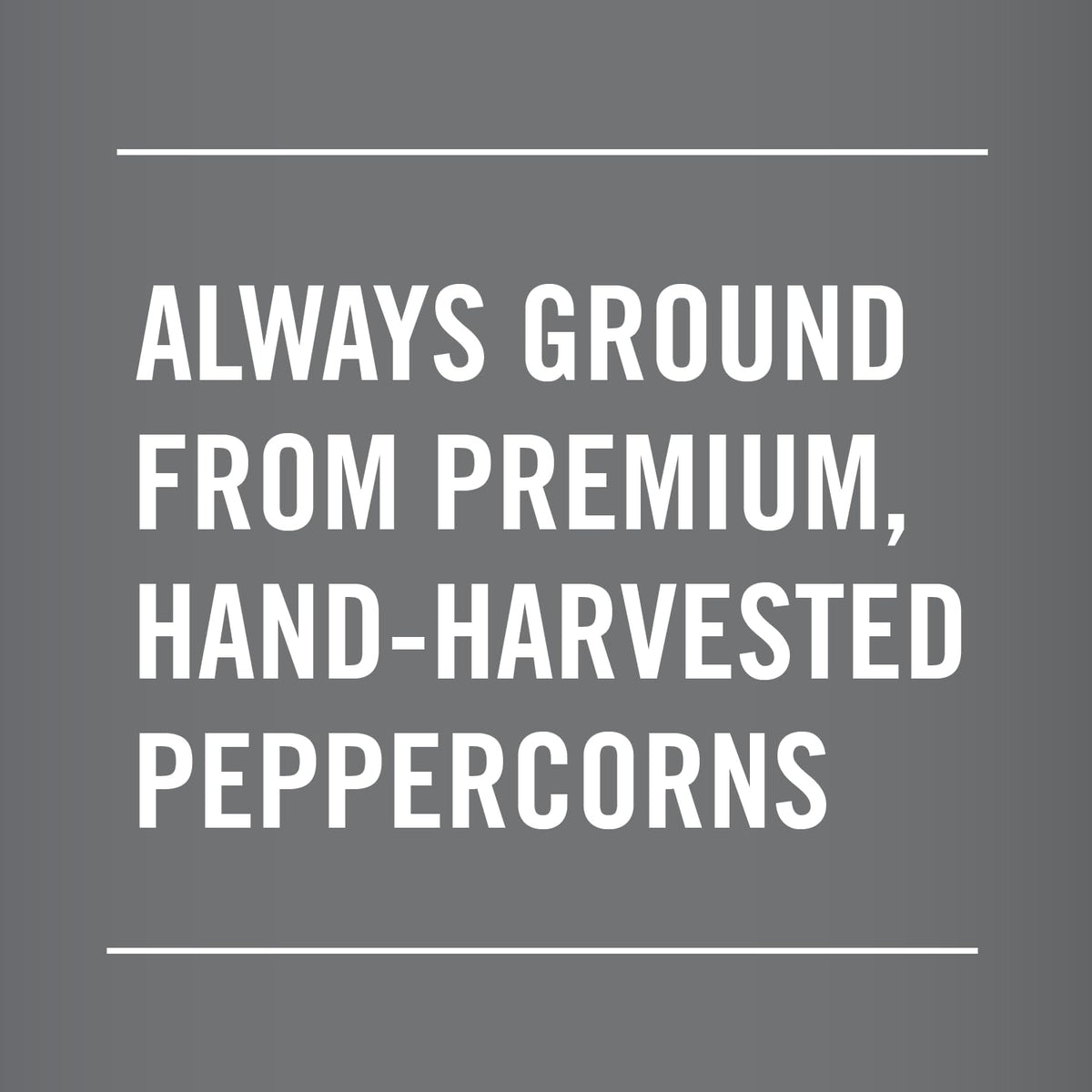 suitable for encrusting meat prior to grilling