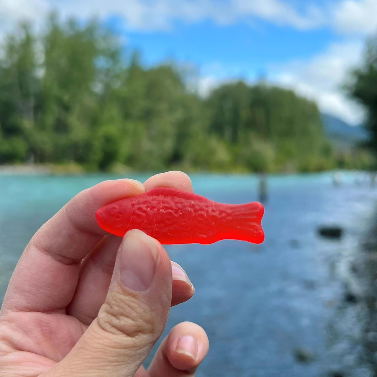 Swedish Fish Soft & Chewy Gummy Candy, Bulk Candy 5 lb for Get-Well Care Packages and Thinking-of-You Snack Boxes