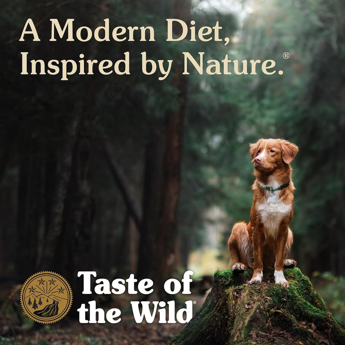 Taste of the Wild Pacific Stream Dog Food – Thoughtful Gift for New Puppy Parents Adopting a Sensitive Dog