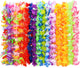 Hawaiian 24pcs