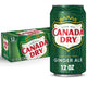 Ginger - 12 Fl Oz (Pack of 12)