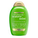 Tea Tree Mint_Old - 13 Fl Oz (Pack of 1)