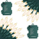 2 Pack - Green Wire Warm White