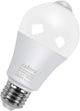 Motion Sensor-cool White - 1 Count (Pack of 1)