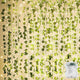 12 pack Artificial Ivy with 80 LED